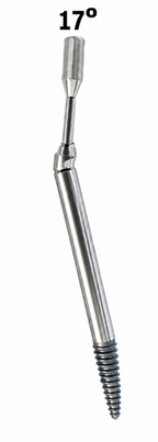 ZYGOMA CONVENTIONAL MU ABUTMENT | 17° ANGLED
