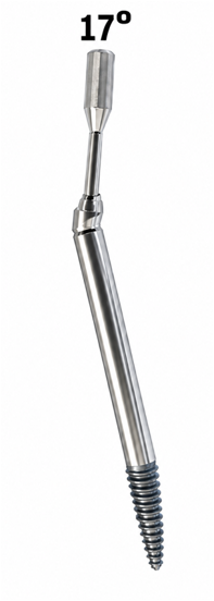 ZYGOMA CONVENTIONAL MU ABUTMENT | 17° ANGLED