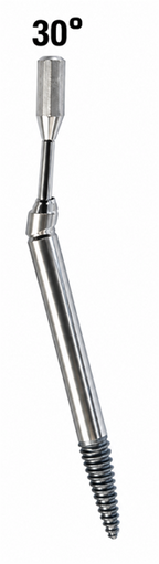 ZYGOMA CONVENTIONAL MU ABUTMENT | 30° ANGLED